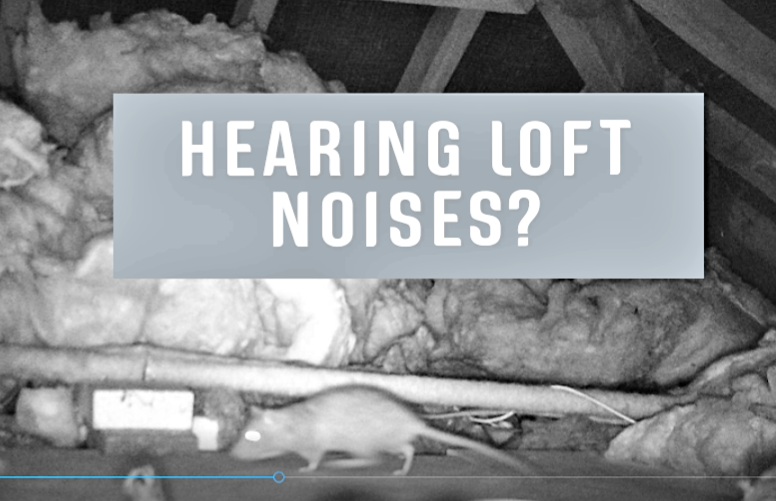 HEARING LOFT NOISES